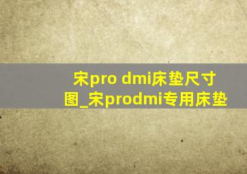 宋pro dmi床垫尺寸图_宋prodmi专用床垫